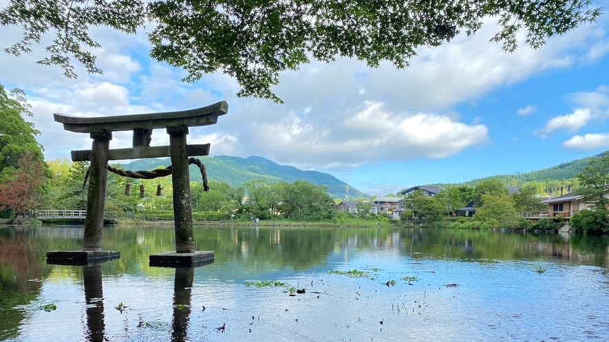 【周辺観光】金鱗湖の鳥居