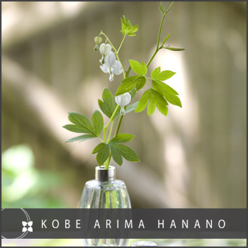 有馬温泉　高山荘　華野 - 写真 231