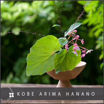 有馬温泉　高山荘　華野 - 写真 223