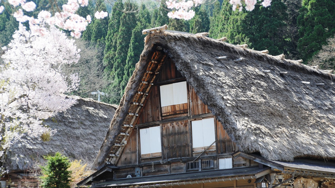 【精進懐石膳】季節の五箇山食材の精進料理を愉しむ◆世界遺産の里で癒しのひと時を《1泊2食》