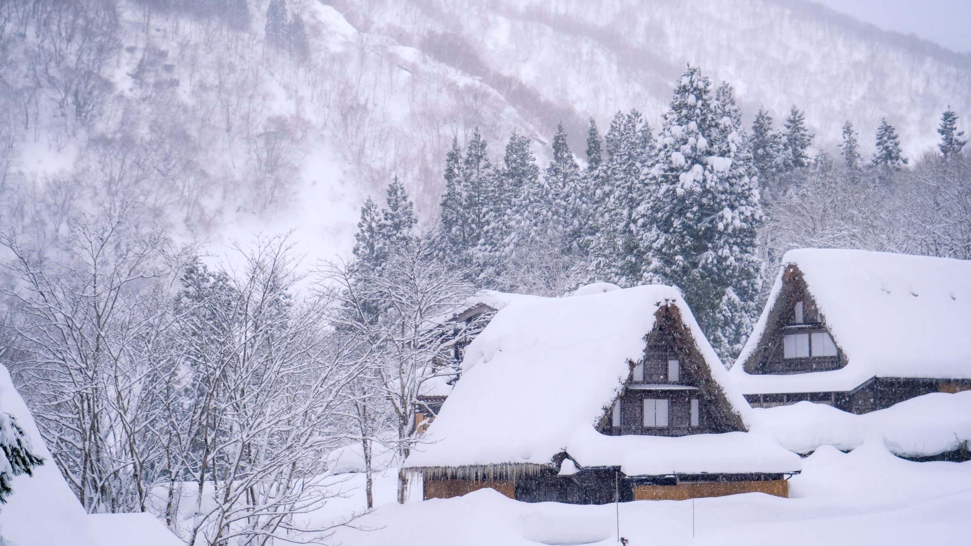 【周辺】世界遺産「相倉合掌造り集落」と 「菅沼合掌造り集落」の中間に位置する当館。アクセスも◎ 