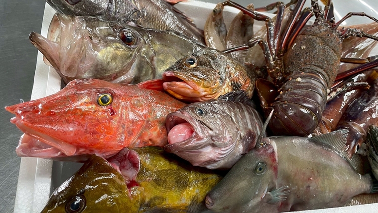 【常磐もの満喫】四季折々の旬の味覚を堪能！海の幸づくし贅沢会席＜朝夕　食事会場＞