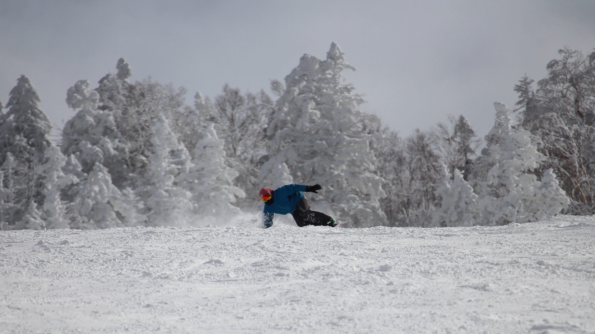 最高の雪質の中を滑走！