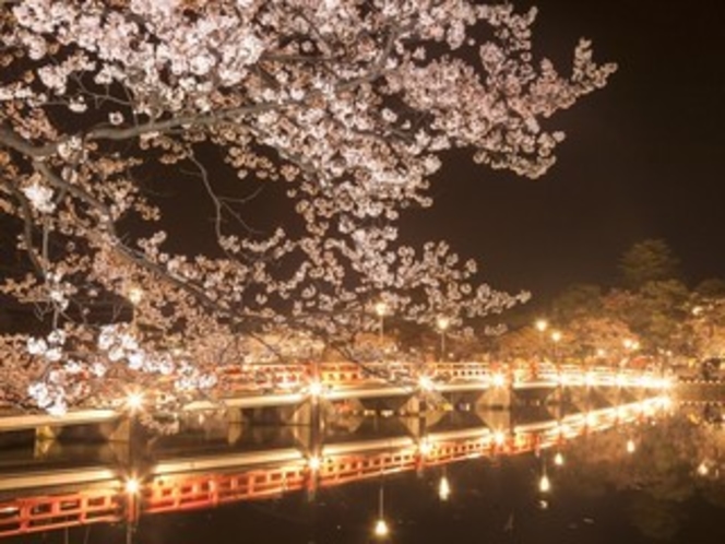 【高田公園】・夜桜と西堀橋