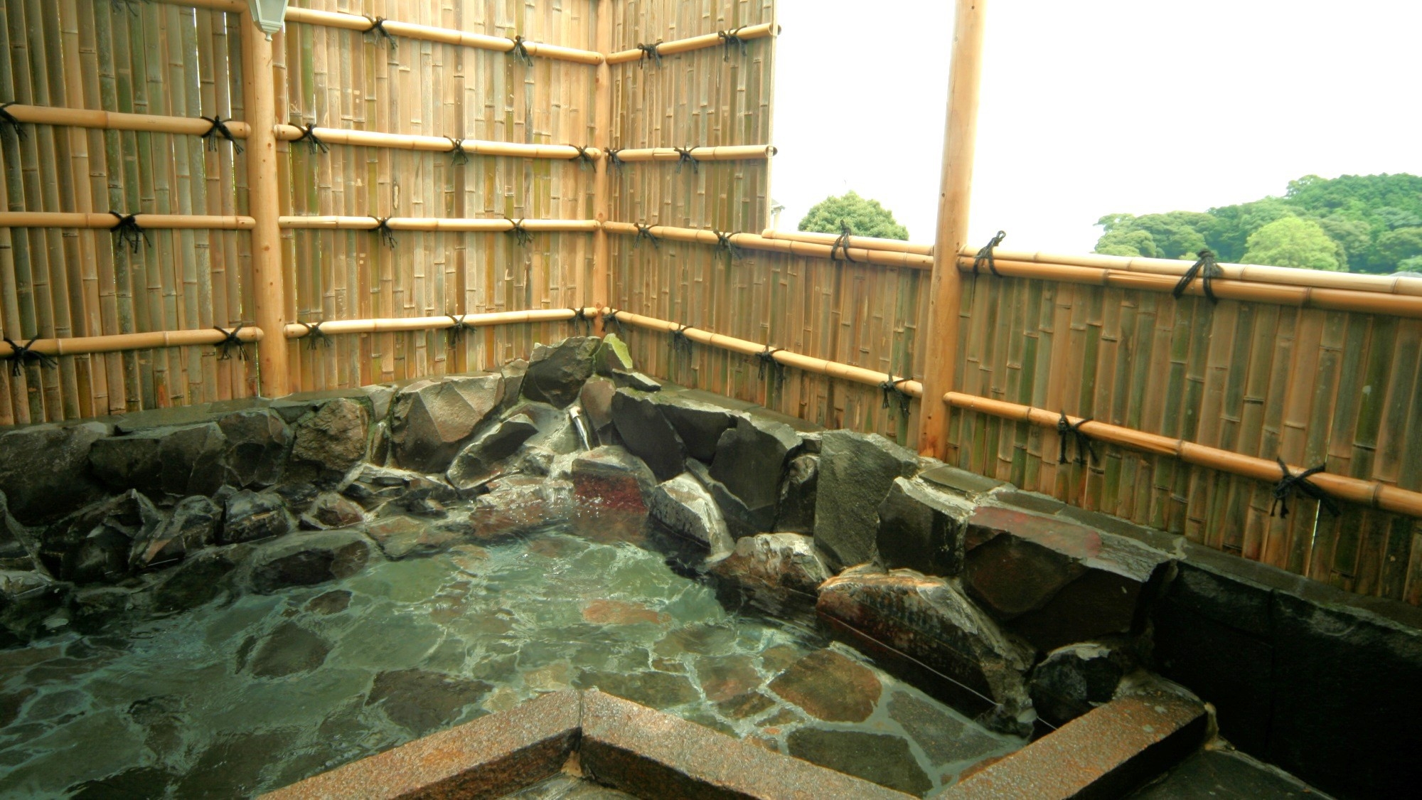 【楽天限定】【お部屋食】今だけお刺身50％増量！朝獲れ海の幸＆極旨ステーキ！宴会プラン