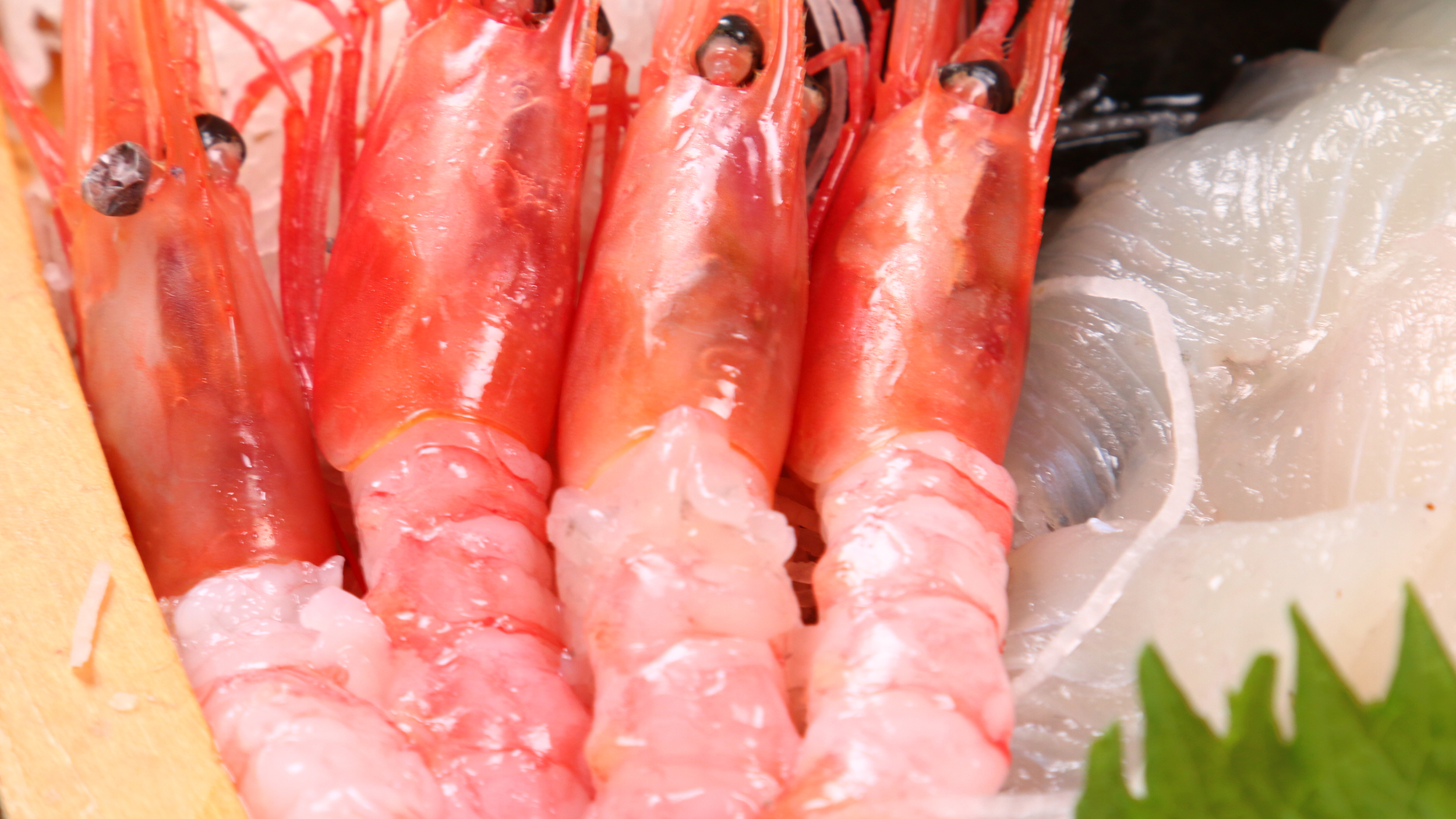 新鮮な海の幸　イメージ