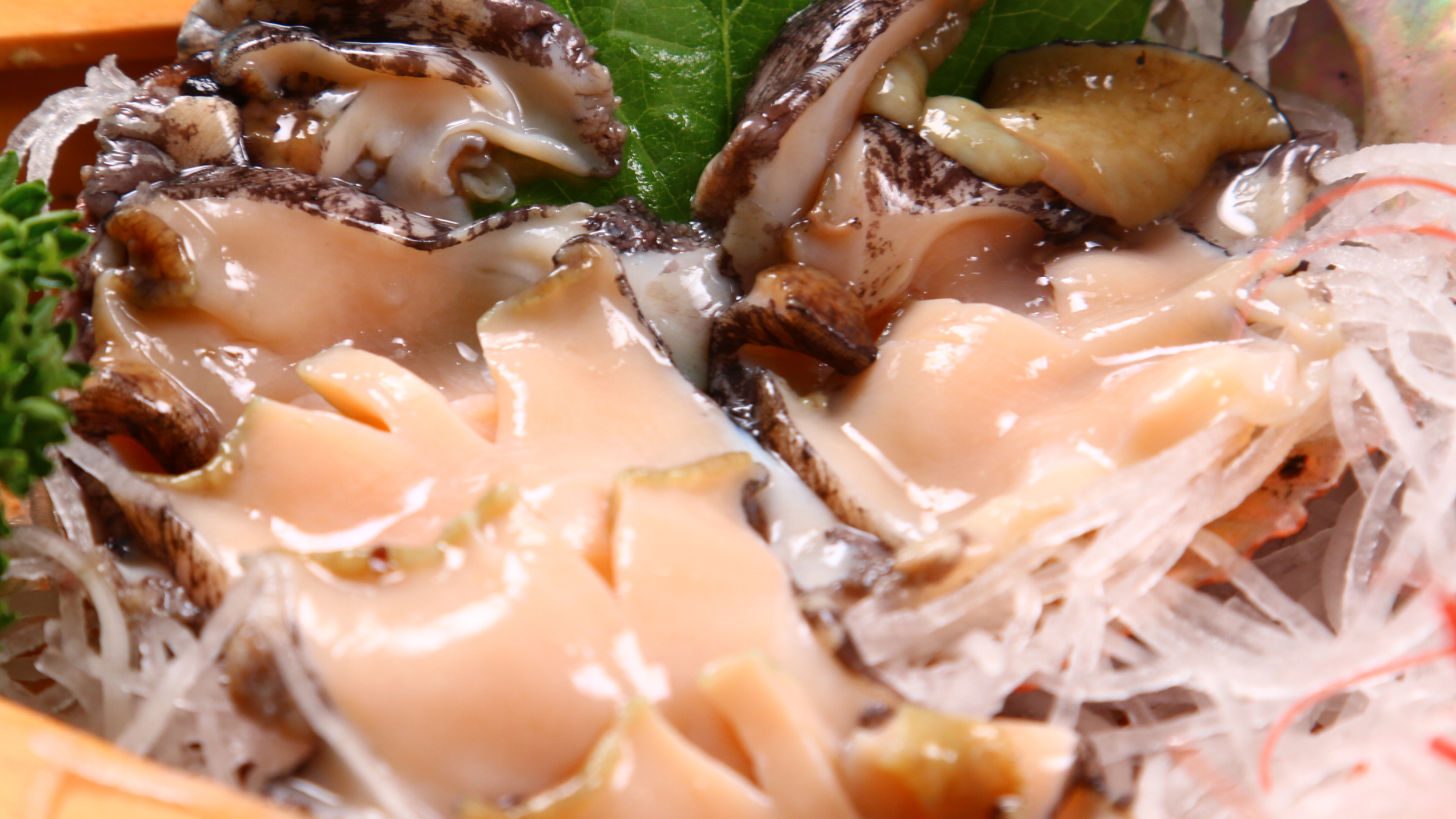 新鮮な海の幸　イメージ