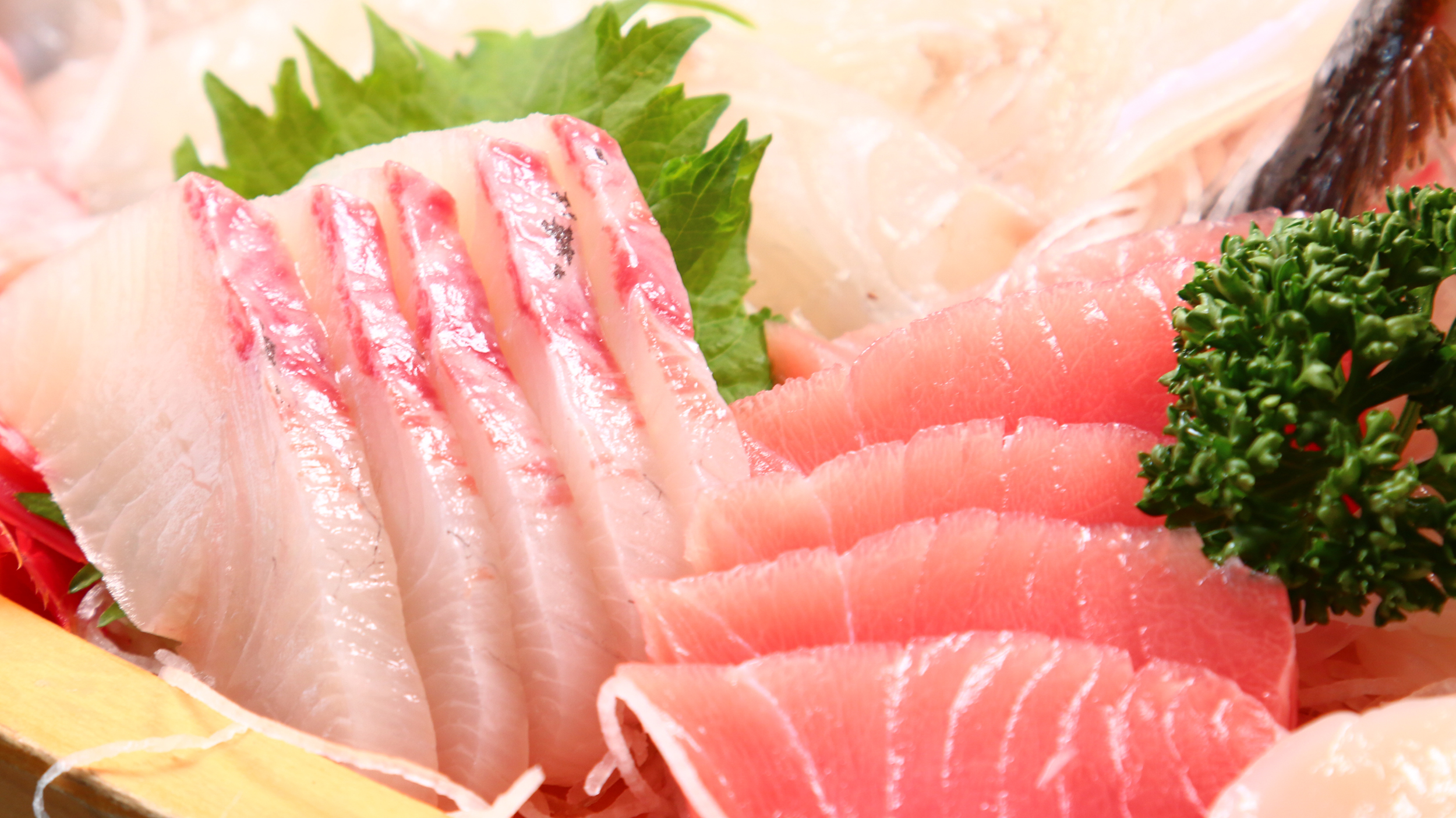 新鮮な海の幸　イメージ