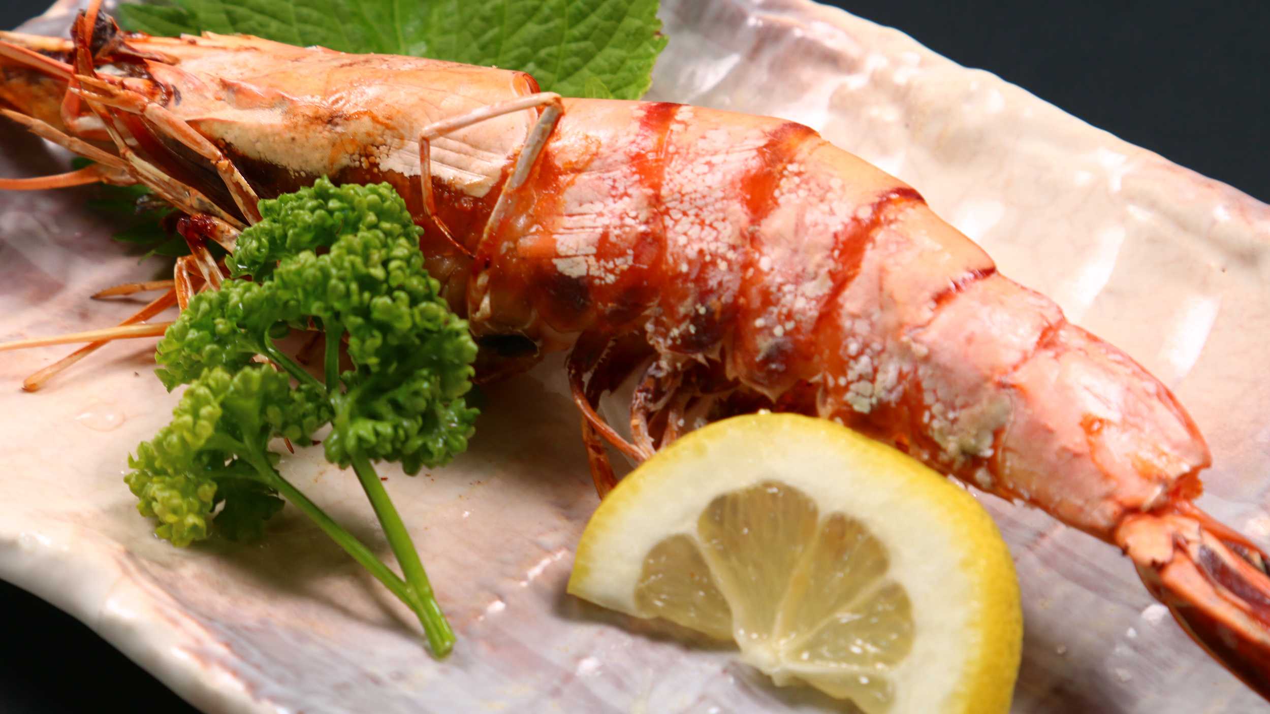 新鮮な海の幸　イメージ