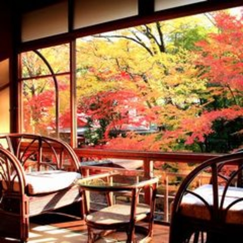 【花の棟客室の一例】花の棟からの風景。秋には紅葉を独り占め出来ます。