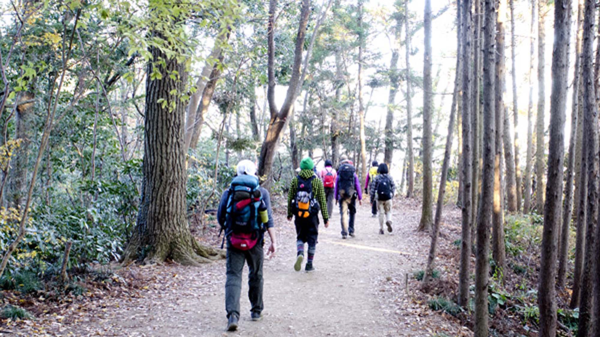 《登山客限定プラン》登山＆トレッキングに！1泊夕食付☆【夕食は九重夢ポーク＆豊後牛焼肉】