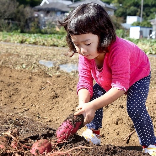 津久井浜観光農園