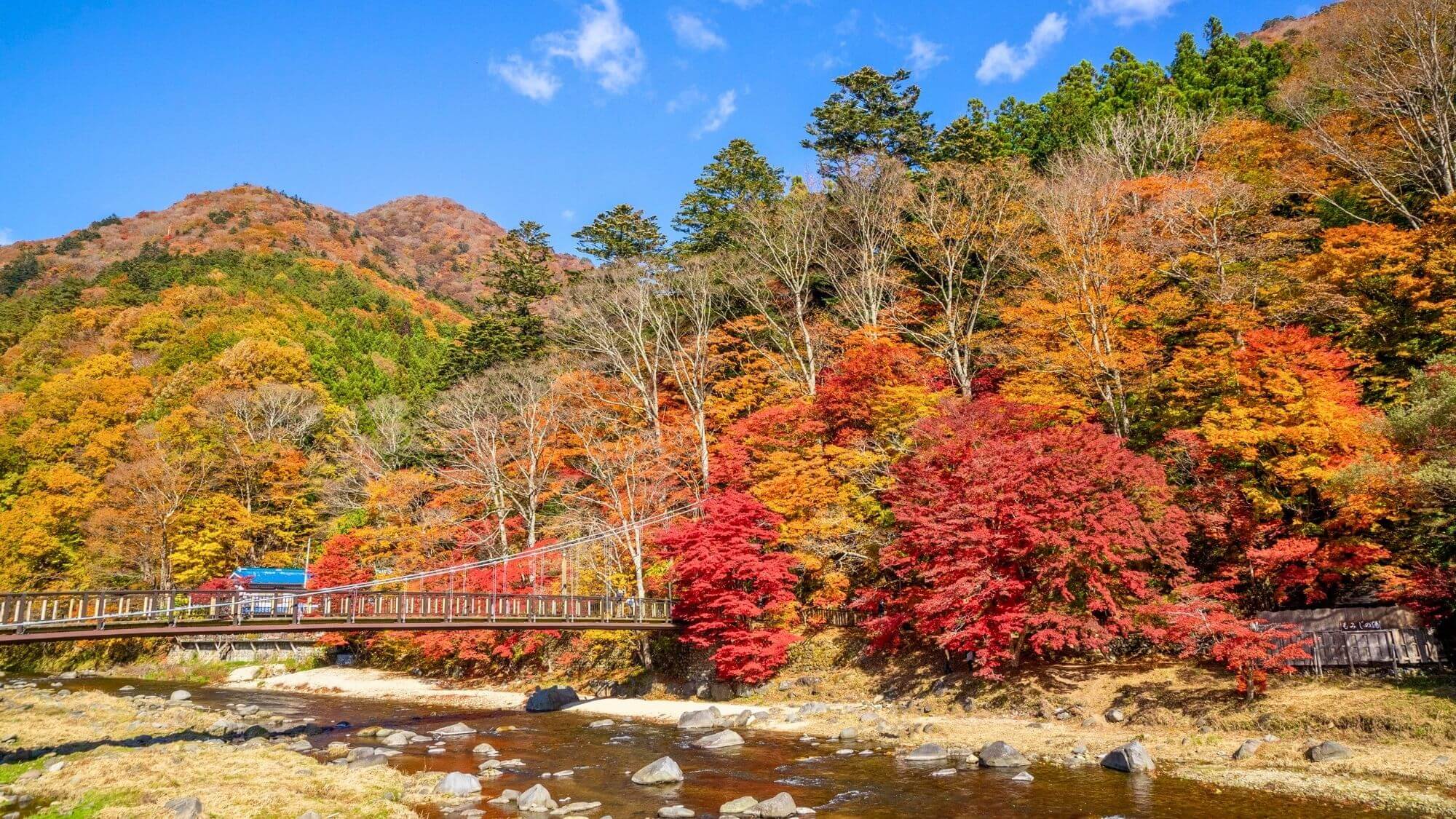【塩原渓谷遊歩道】渓谷美を間近に感じながら歩ける人気の遊歩道で、塩原ならではの自然散策が楽しめます。