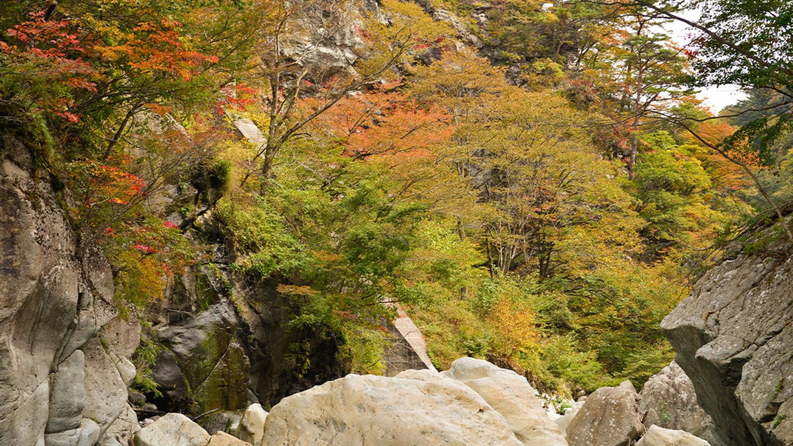 野天風呂の渓谷美　紅葉