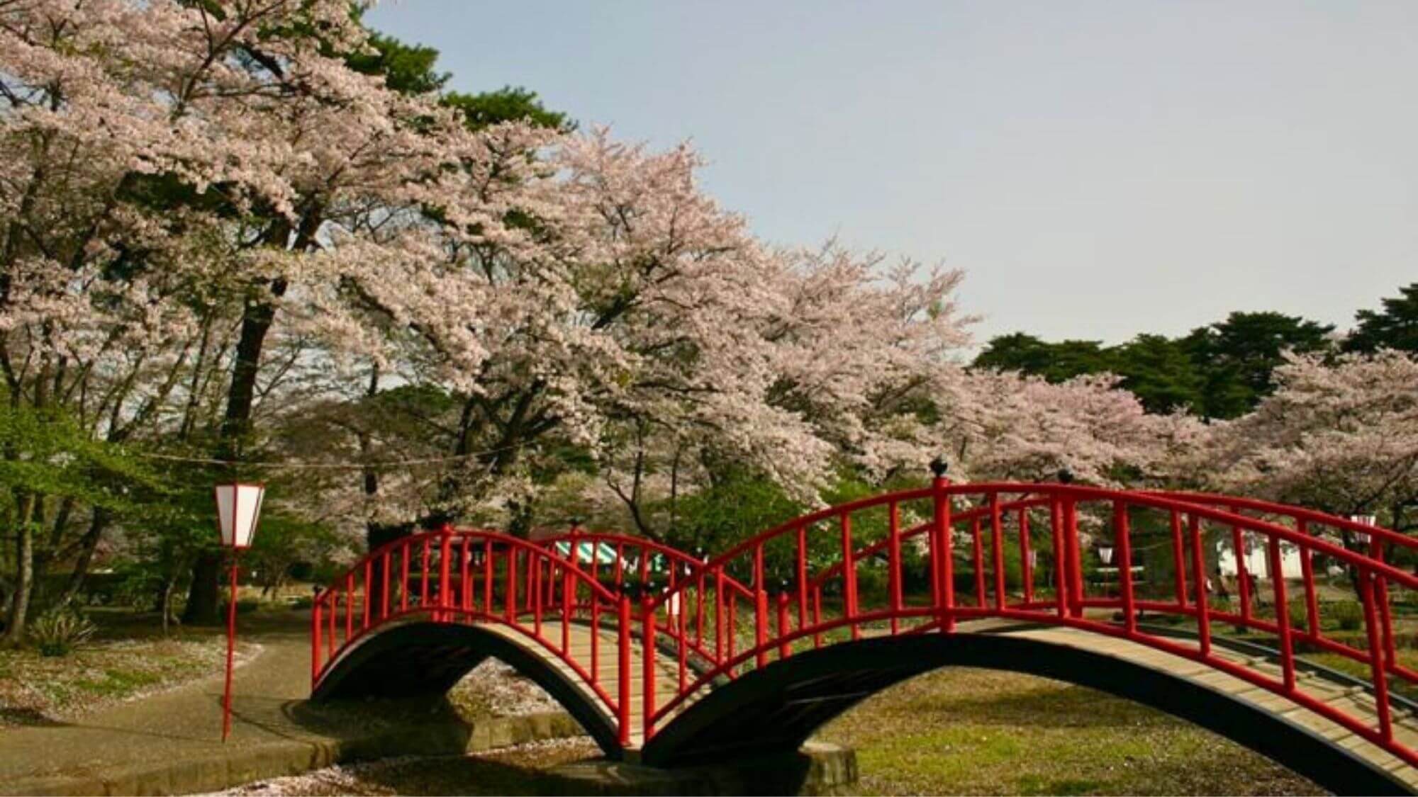 【烏ヶ森公園～太鼓橋～】池に映る赤い太鼓橋からは四季の彩りと静かな水辺散策が楽しめます。