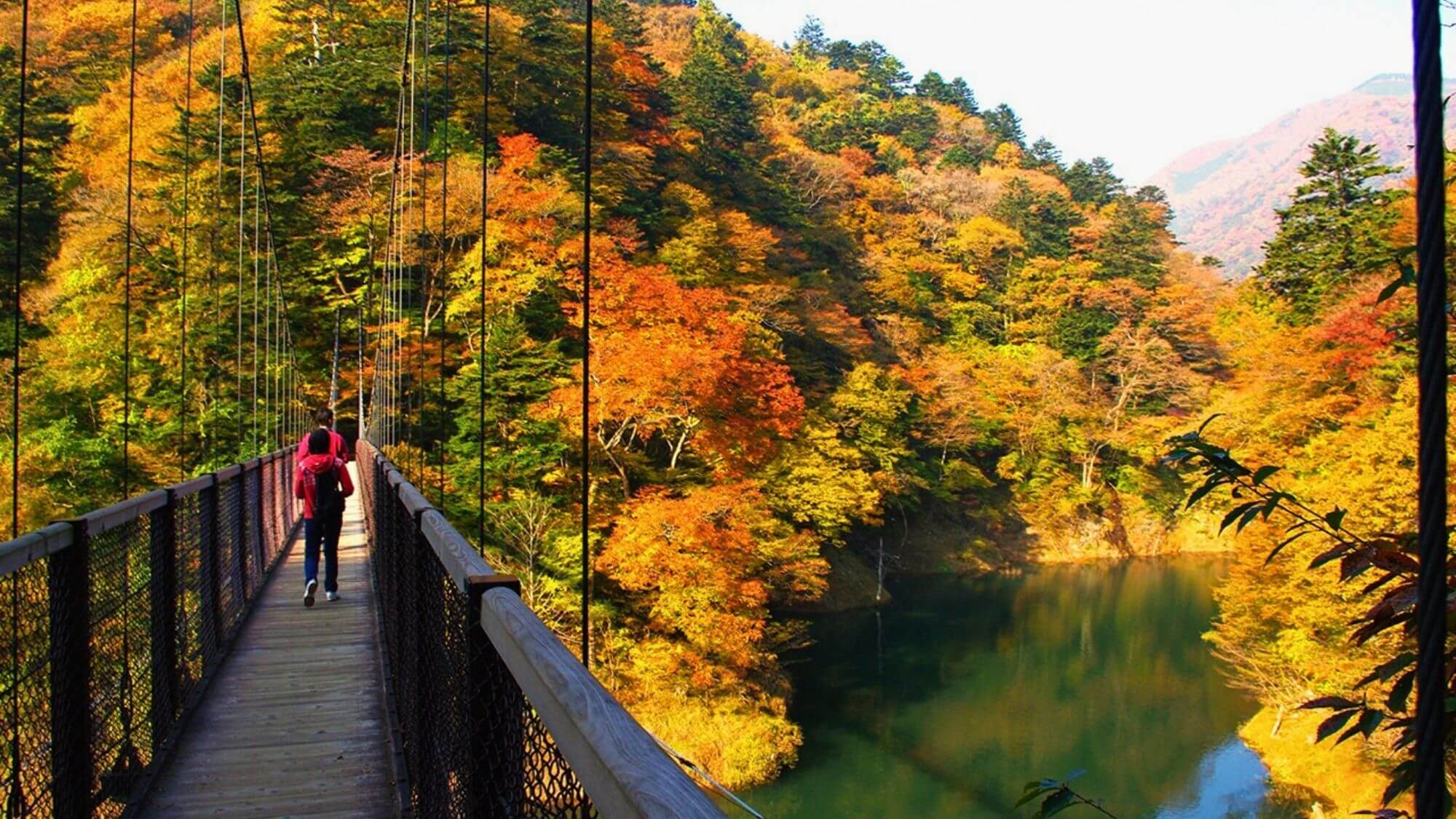 【塩原渓谷(回顧の吊橋)】全長100mの吊橋から眺める「回顧の滝」は心の奥まで澄み渡る絶景です。