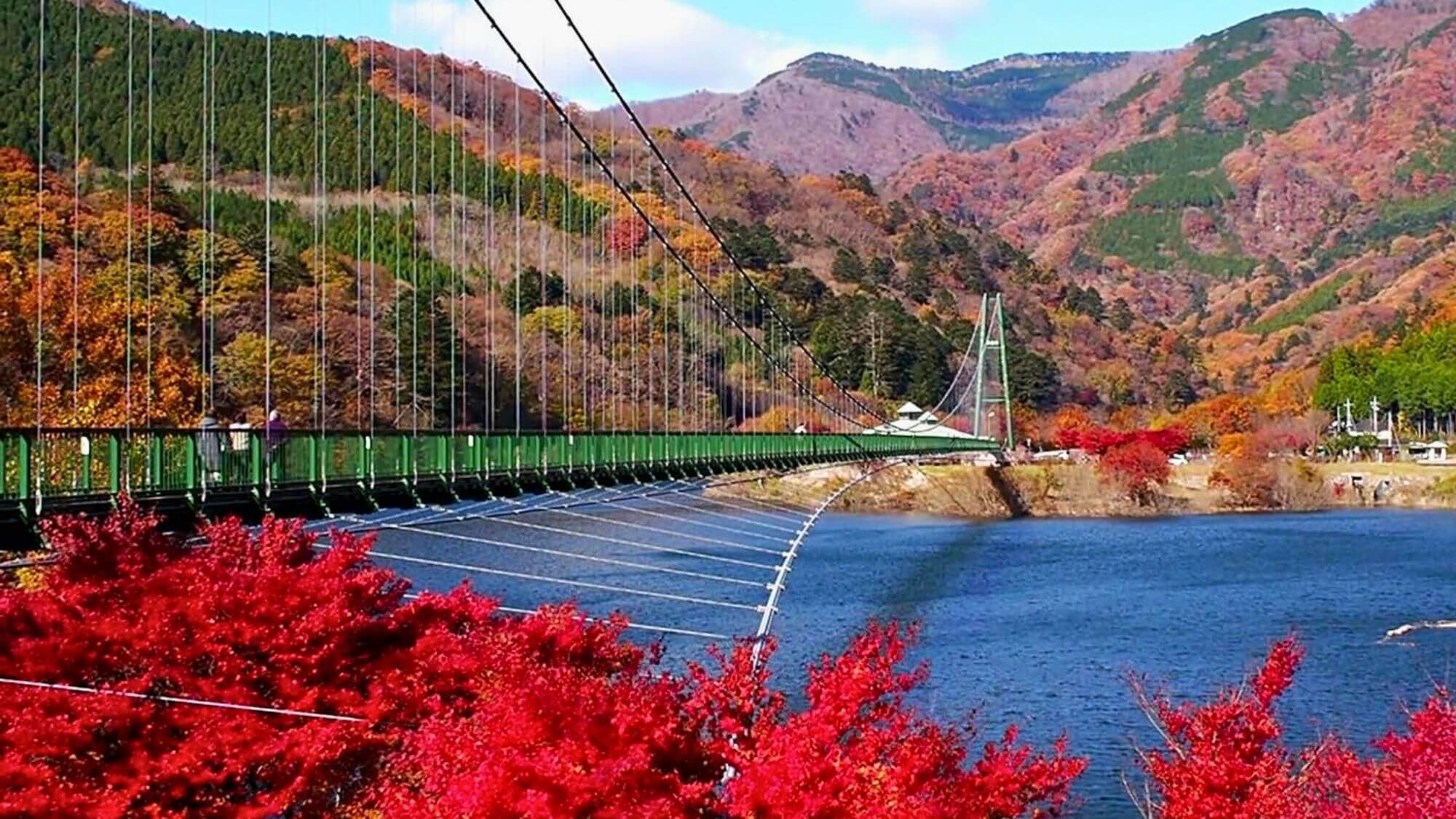  【もみじ谷大吊橋】全長320ｍの本州最大級の大吊橋で四季の風を感じる空中散歩を体験できます。