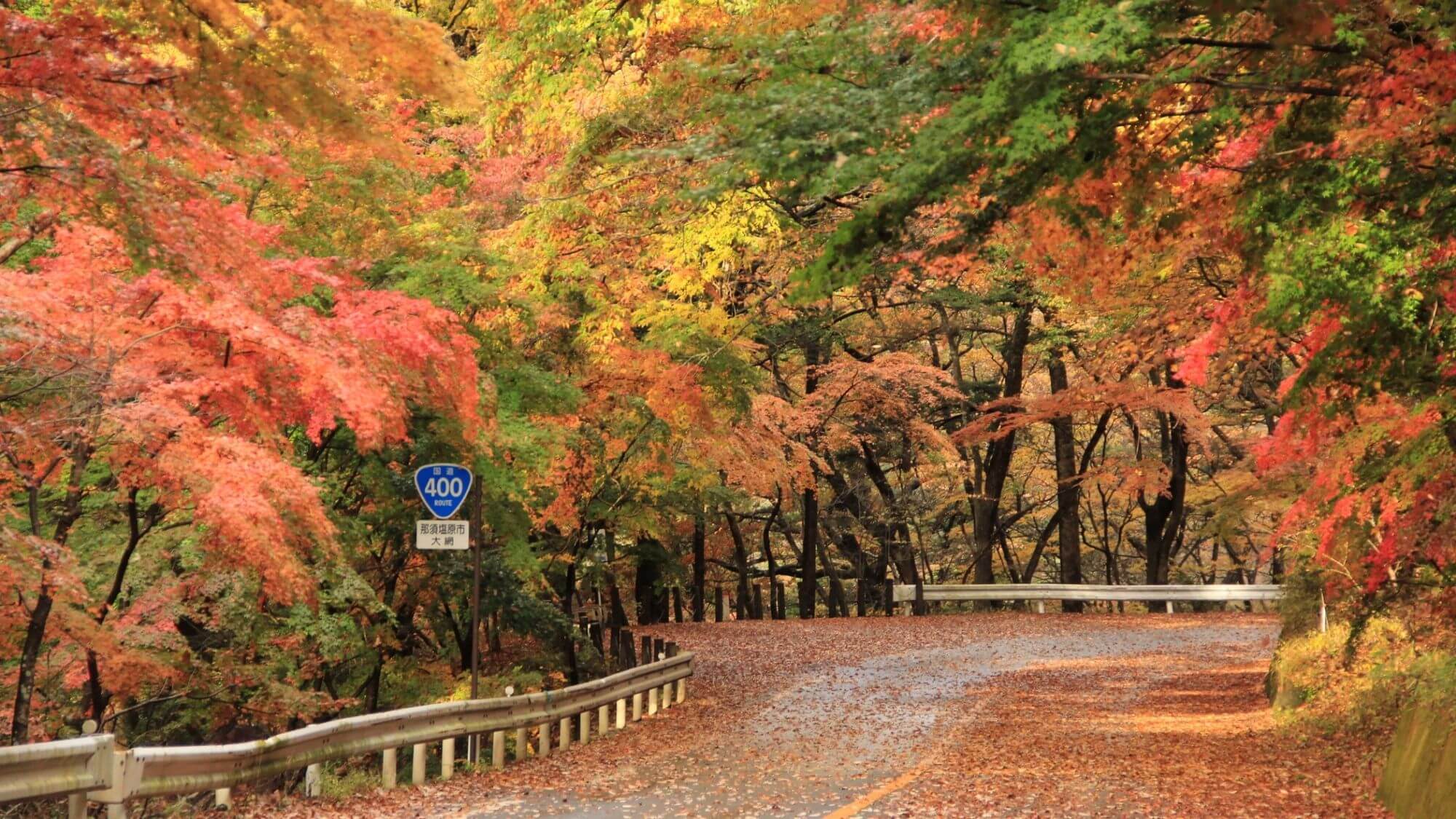 【大正浪漫街道】渓谷沿いの国道で、滝や文学碑が点在する自然豊かな景勝の散策路です。