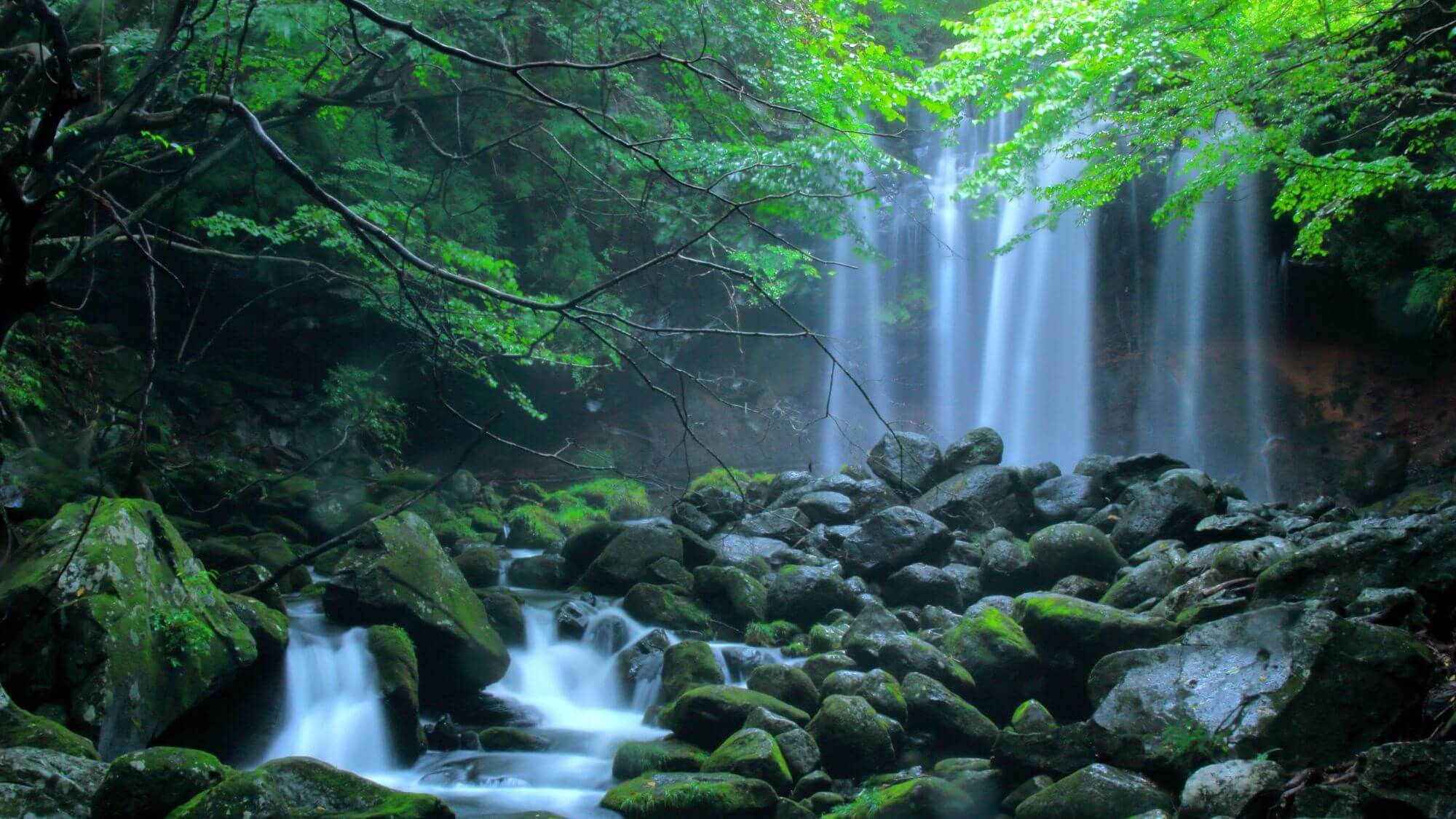 【乙女の滝】沢名川にかかる優美で力強い滝で、心も体もリフレッシュしたい方にお勧めのポイントです。