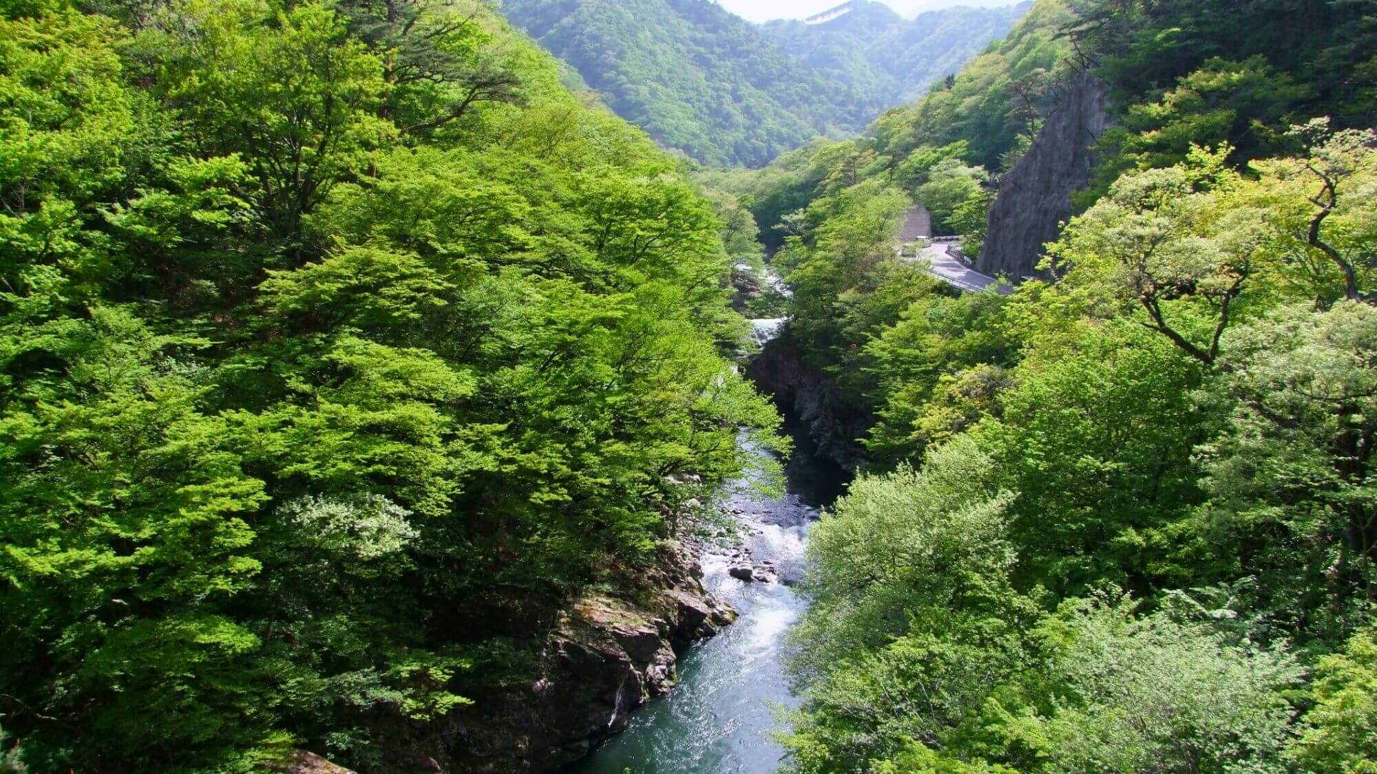 【塩原渓谷】深い緑と清流が織りなす自然美が広がる渓谷で四季ごとに変わる絶景をお楽しみいただけます。