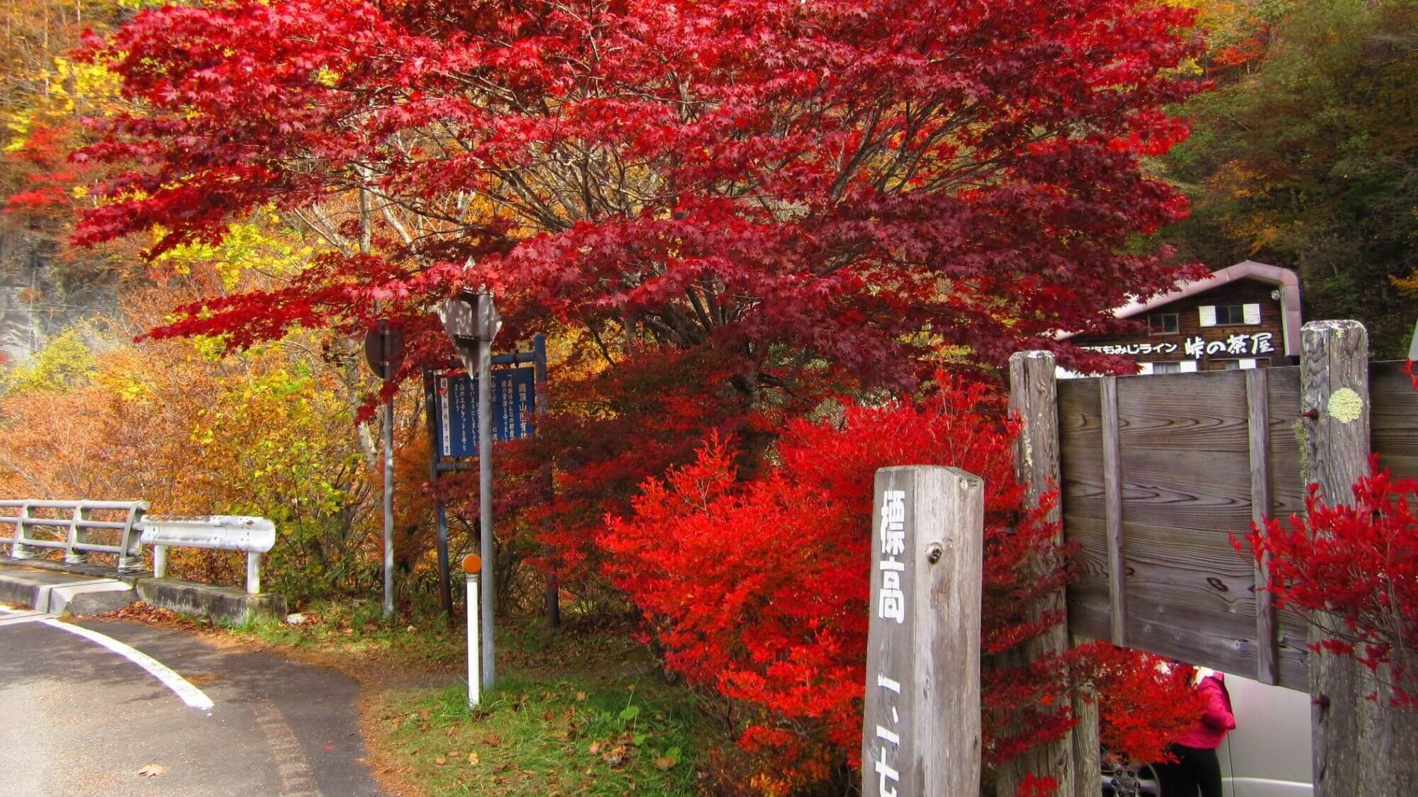 【日塩もみじライン】紅葉の季節には色鮮やかな絶景を楽しめるドライブコースです。