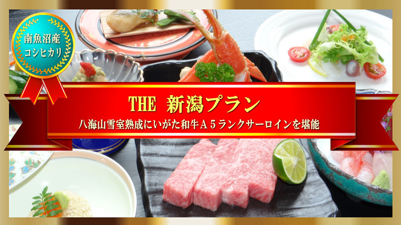 『THE 新潟プラン』新潟県が誇るにいがた和牛(A5)サーロイン＆南魚沼産コシヒカリを堪能♪