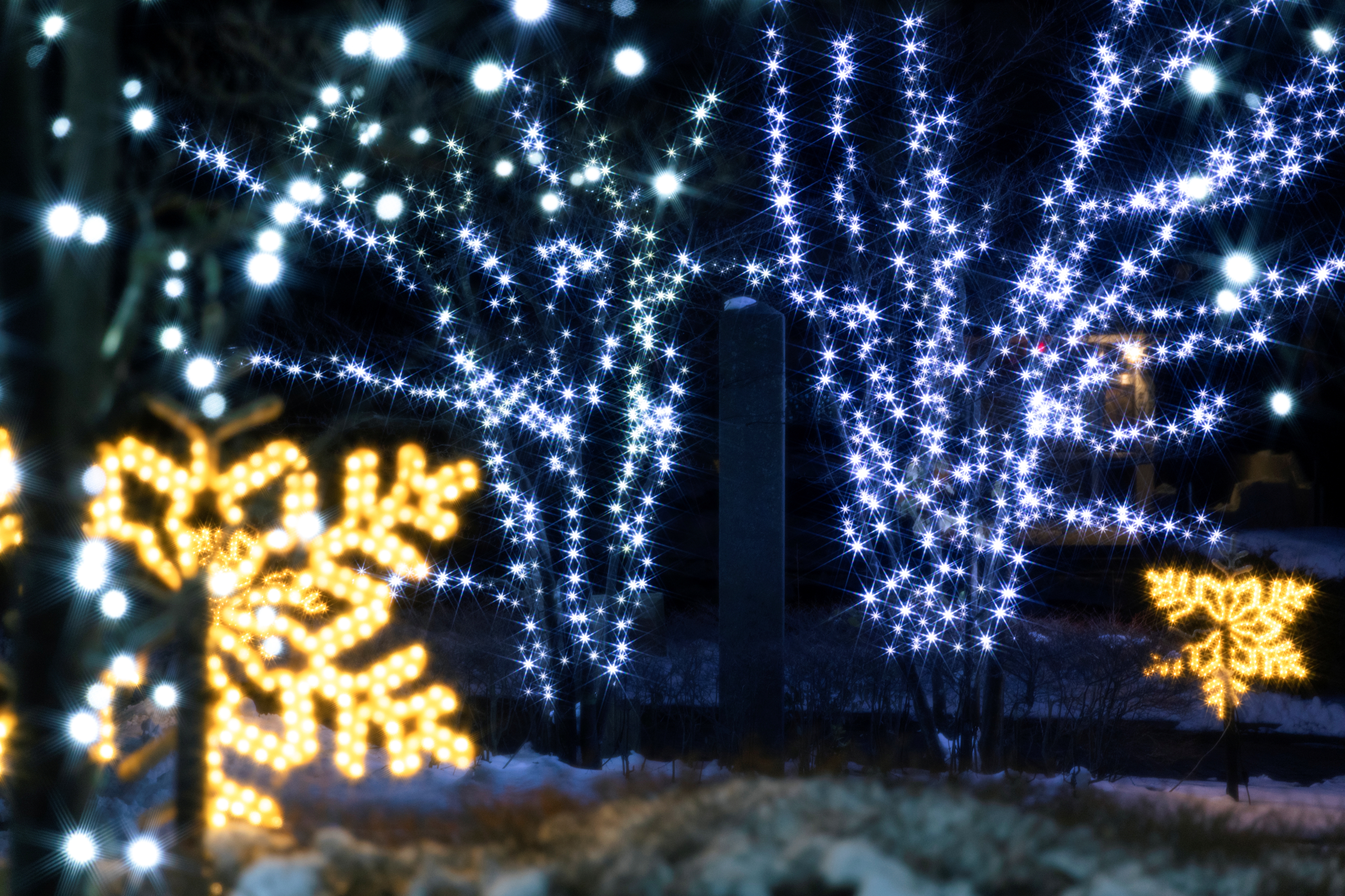 雲仙灯りの花ぼうろ