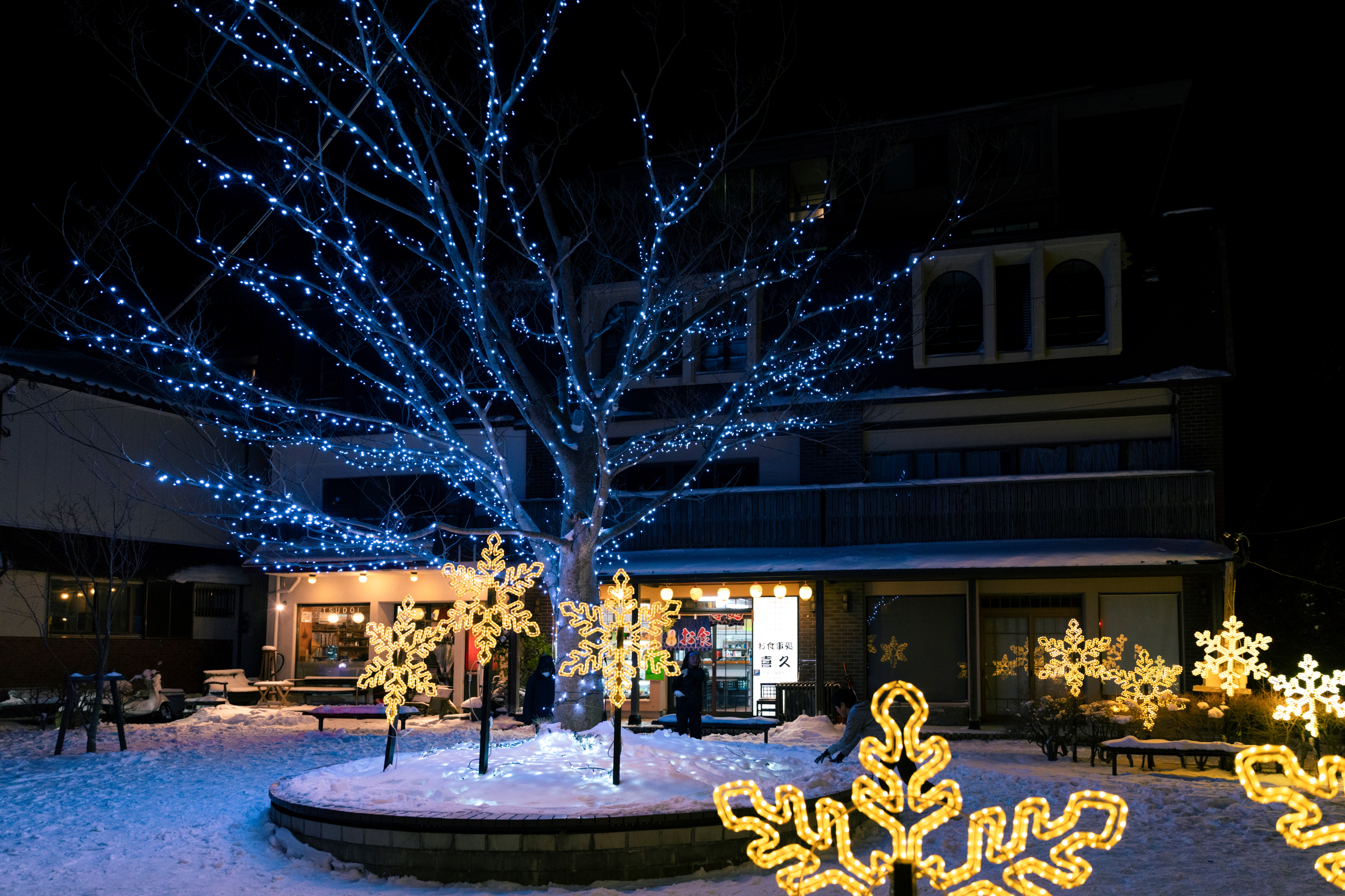 雲仙灯りの花ぼうろ