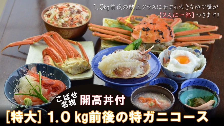 [特大]1kg前後の特ガニ（黄タグ付ゆで越前蟹）２人で一杯付！〆は開高丼★蟹料理７品！（60）