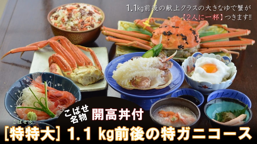 [特特大]1.1kg前後の特ガニ（献上蟹級ゆで越前がに）２人で一杯付！〆は開高丼★蟹料理７品（70）
