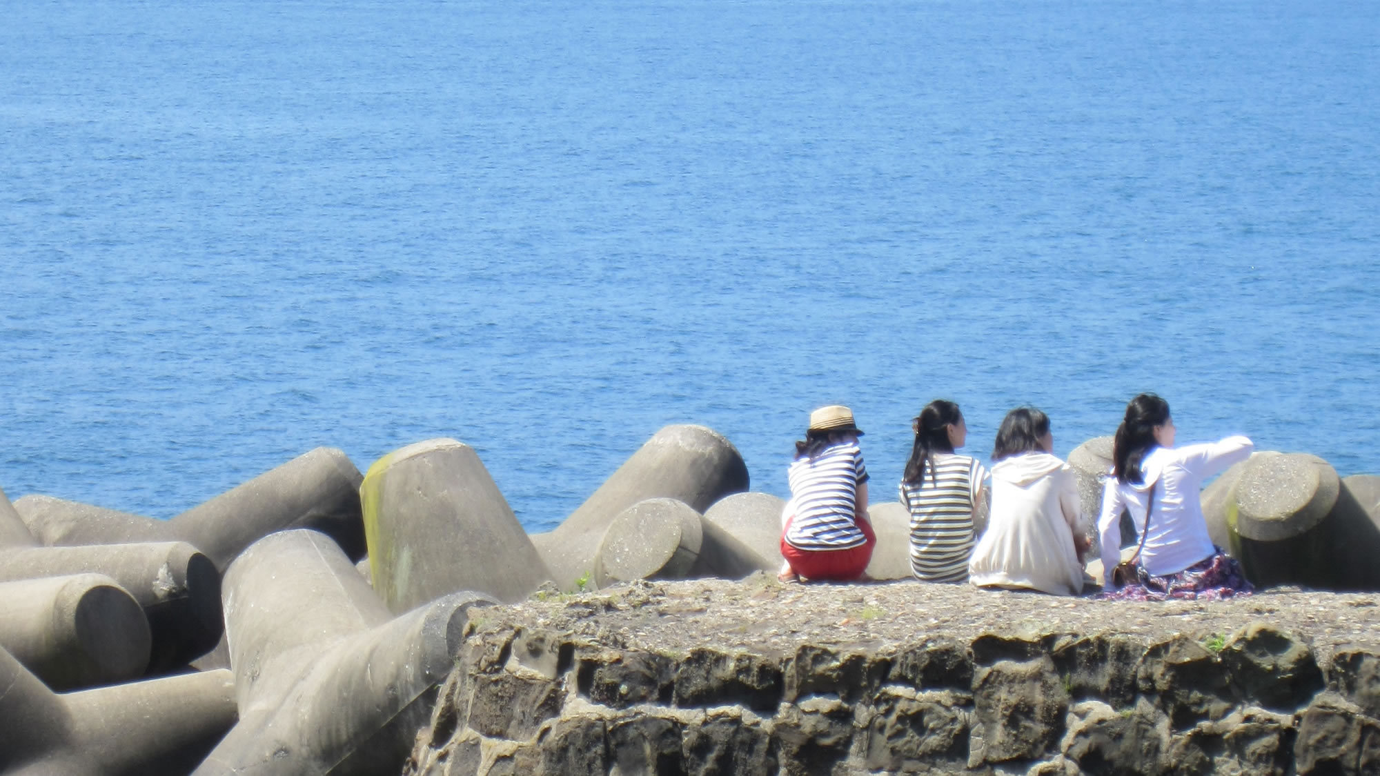 ≪簡単★手ぶらで磯釣り≫越前海岸で釣り体験♪竿＆餌付きでラクチン♪ ファミリー人気（12）2024年