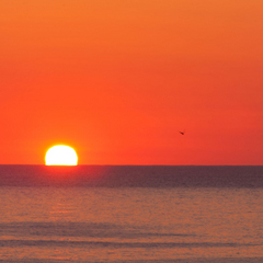 *海に沈む夕日。素敵な眺めに癒されて下さい。