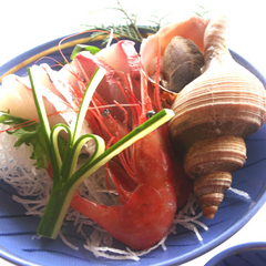 *ご夕食イメージ：越前港で水揚げされた魚介のお刺身三種盛り