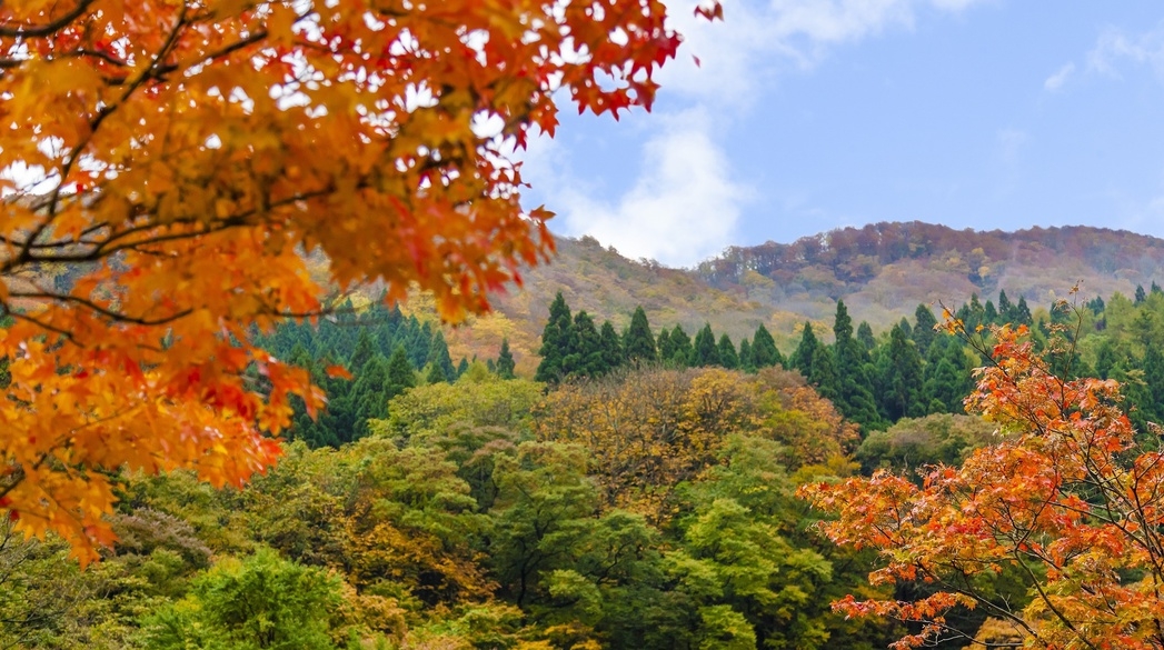 【秋冬SALE】【会場食】スタンダードプラン【四季替わり会席・雅の膳】