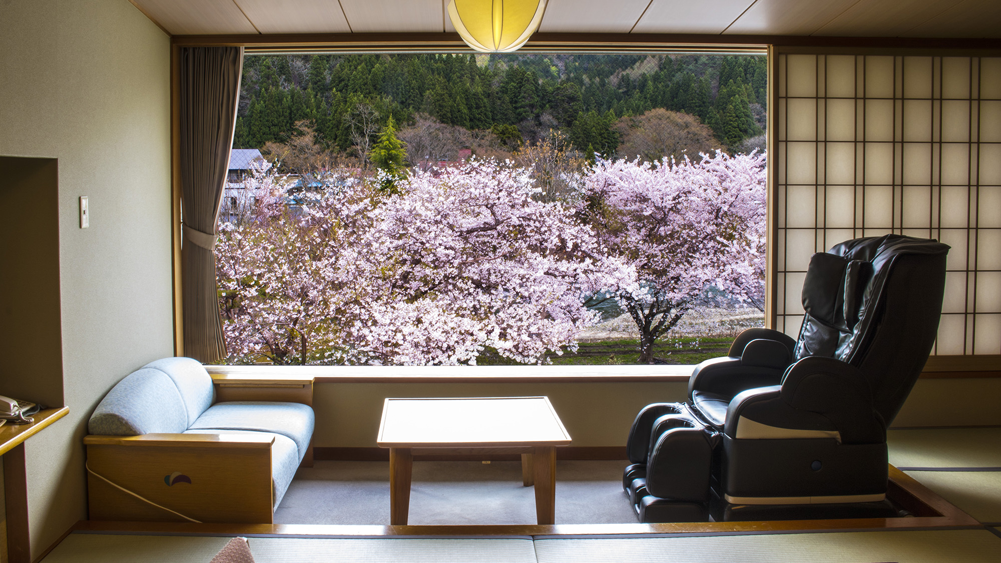 ◇桜　客室からの風景