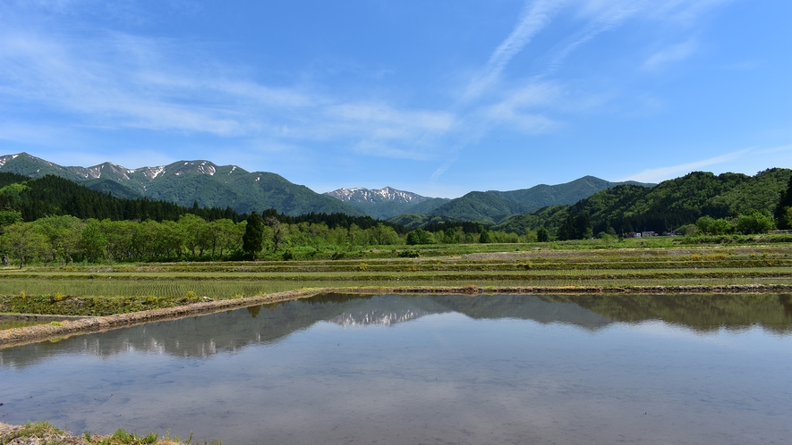 ◇田植え時期の美しい風景