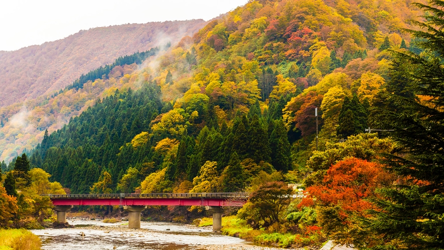 ◇秋の周辺風景