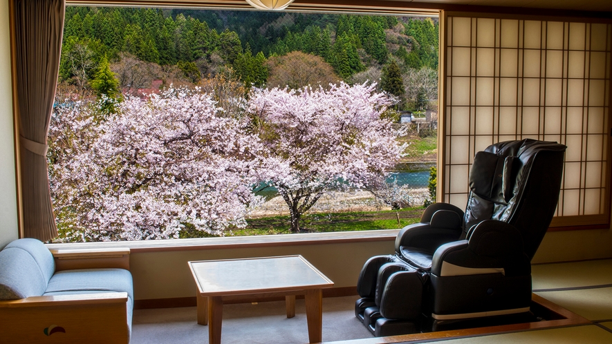 ◇桜　周辺風景