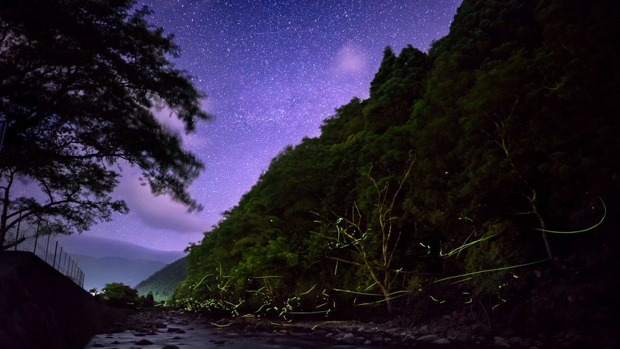 自然豊かな場所、美しい星空