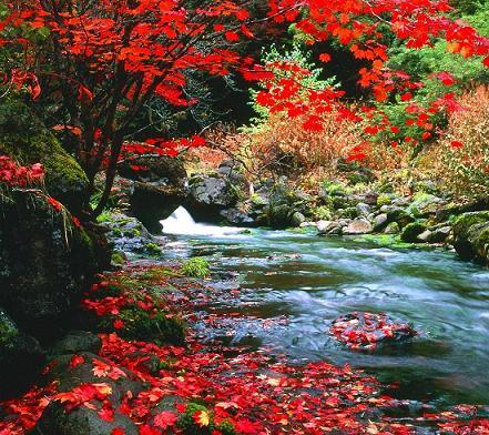 大正１２年創業 黄金色の巨石露天風呂 横谷温泉旅館 宿泊予約 楽天トラベル