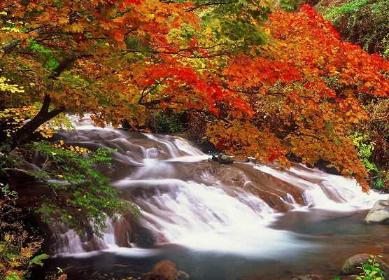 大正12年創業 黄金色の巨石露天風呂 横谷温泉旅館 宿泊予約 楽天トラベル 大正12年創業 黄金色の巨石露天風呂 横谷温泉旅館 宿泊予約 楽天トラベル