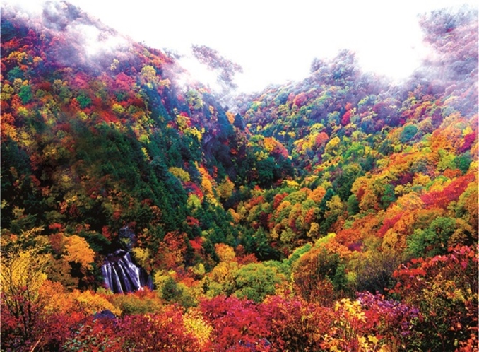 横谷観音展望台から眺める横谷渓谷の紅葉