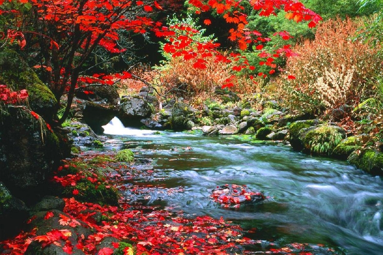 秋の横谷峡は1年の中で最もいいシーズンです。