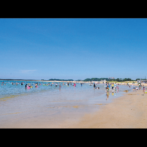 『芦屋海水浴場』車で約7分