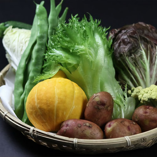 契約農家の野菜