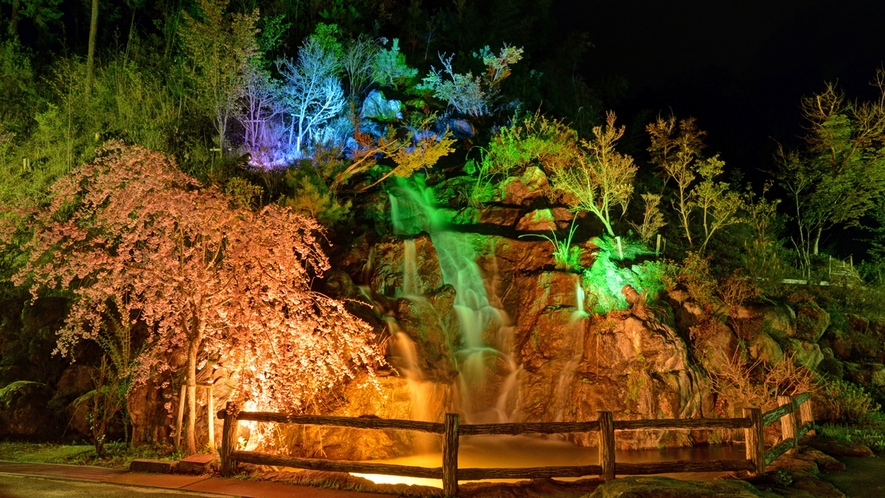 *【佐和屋の滝】ライトアップ　季節の花々、木々と共に滝の音とライトアップをお楽しみください。