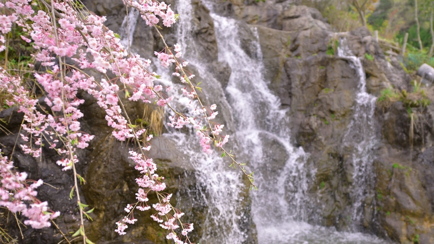 *【佐和屋の滝】滝の音を聞きながら季節の花々、木々の風情をお楽しみください。