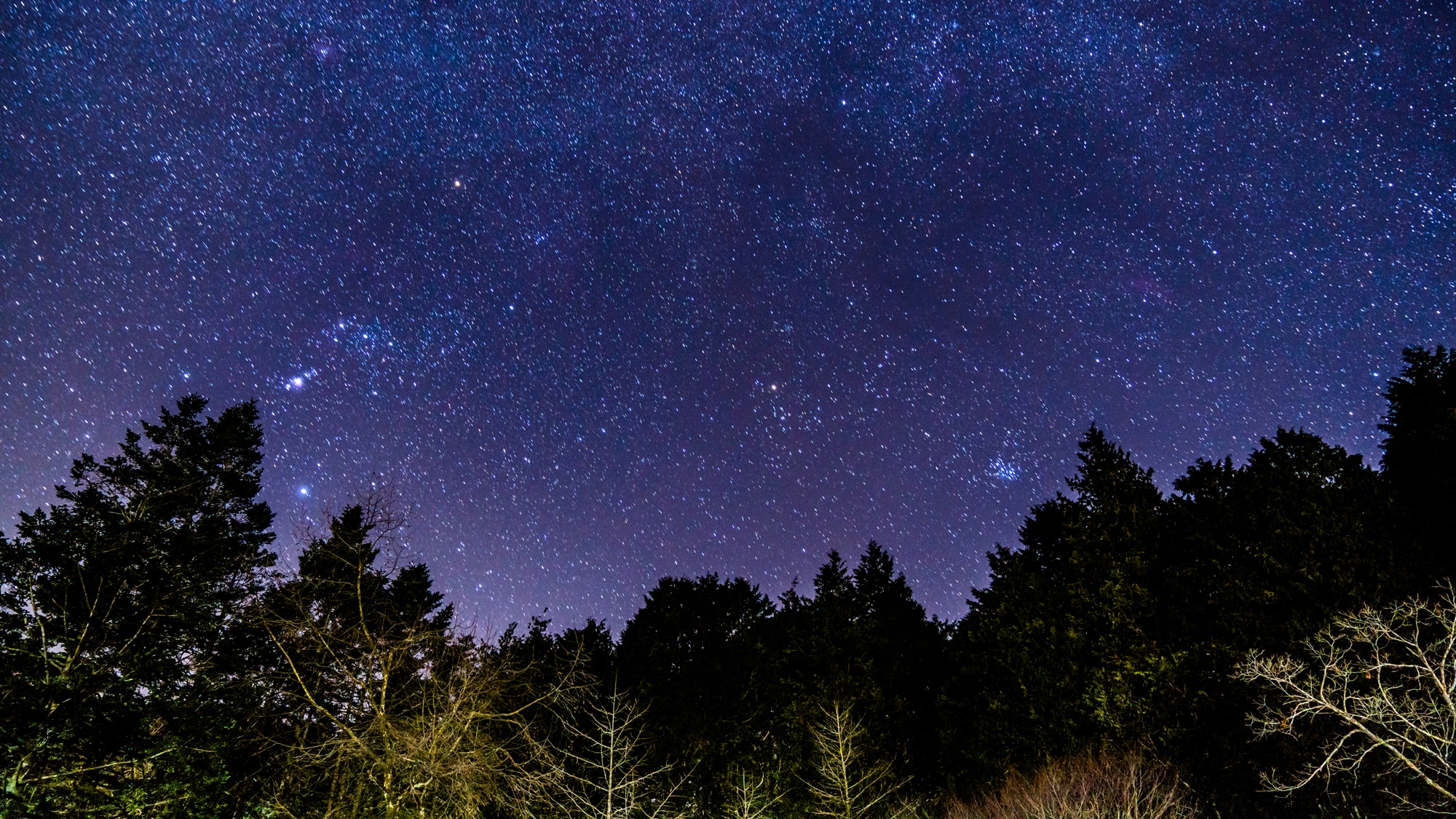 *星空イメージ　日本一星空が綺麗な阿智村の近郊に当館はございます♪綺麗な星空をお楽しみください