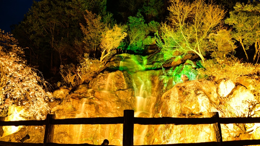 *【佐和屋の滝】当館前の滝は夜ライトアップされます。季節の草花と共に滝の音をお楽しみください。