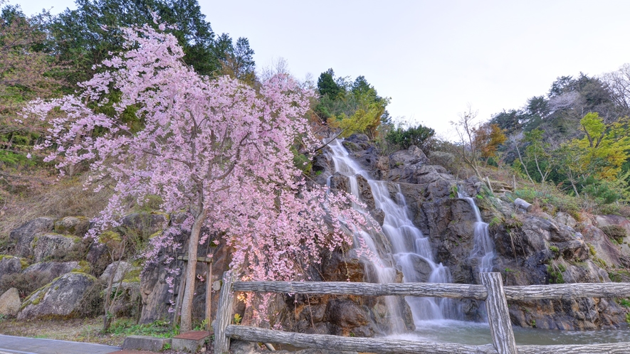 *【佐和屋の滝】滝の音を聞きながら季節の花々、木々の風情をお楽しみください。